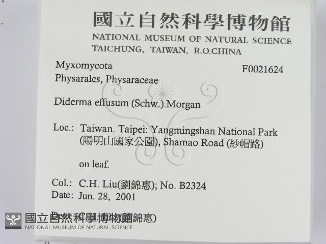 登錄號:F0021624藏品圖，第2張