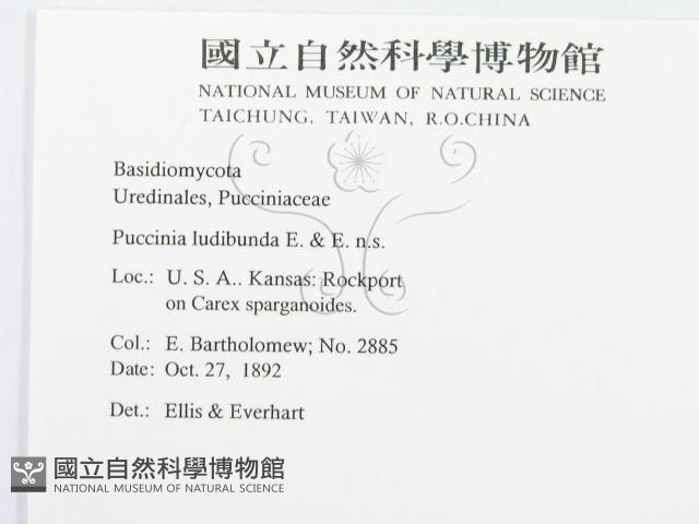登錄號:F0011624藏品圖，第2張