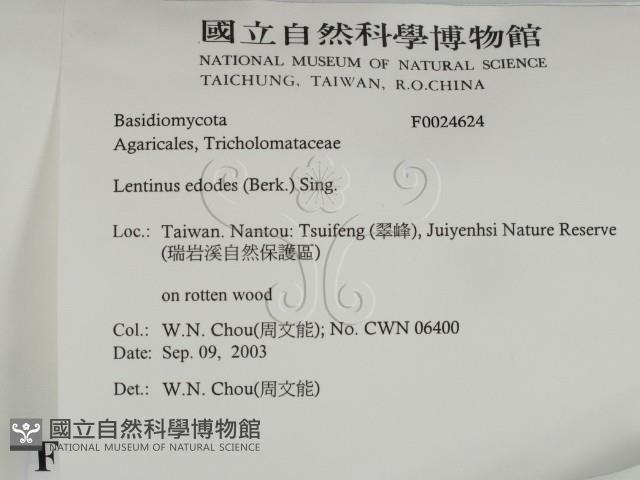 登錄號:F0024624藏品圖，第2張