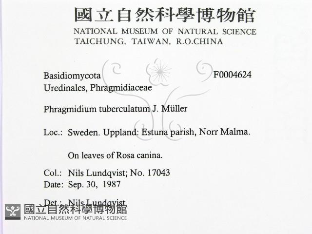 登錄號:F0004624藏品圖，第2張