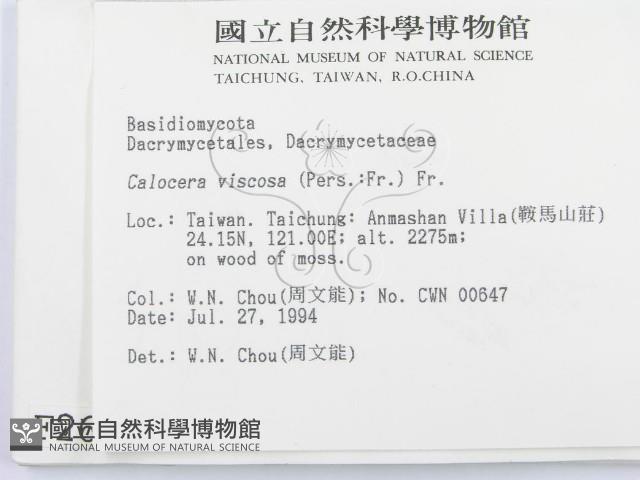 登錄號:F0002624藏品圖，第2張