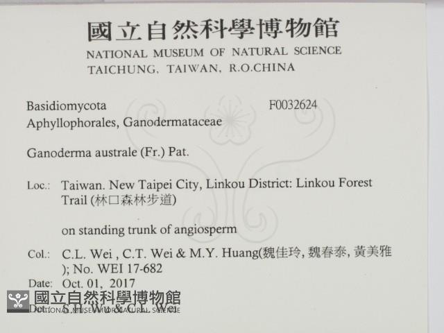 登錄號:F0032624藏品圖，第2張
