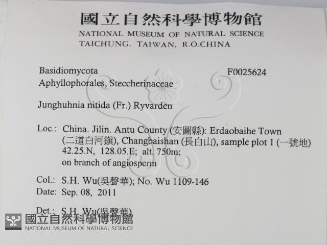 登錄號:F0025624藏品圖，第2張