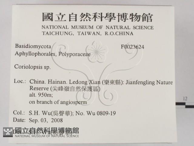 登錄號:F0023624藏品圖，第2張