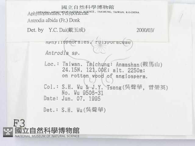 登錄號:F0003624藏品圖，第2張