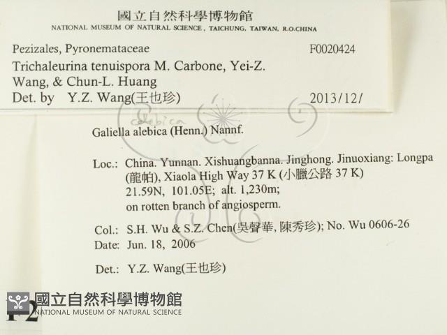 登錄號:F0020424藏品圖，第2張
