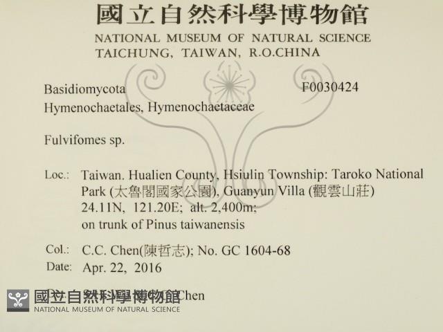 登錄號:F0030424藏品圖，第2張