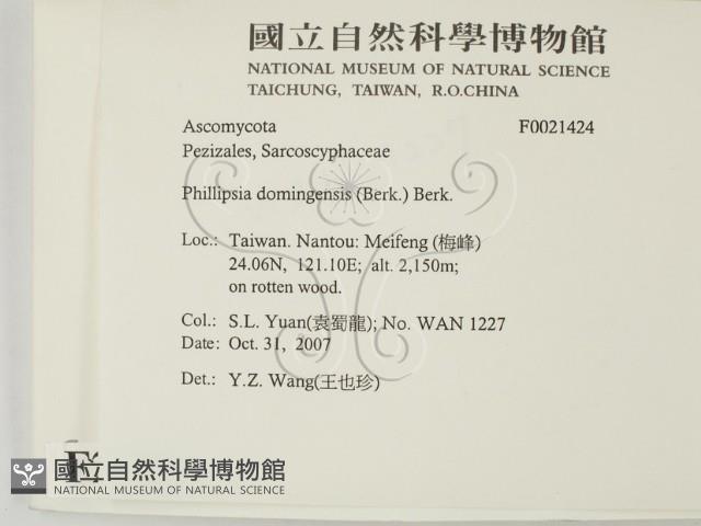 登錄號:F0021424藏品圖，第2張