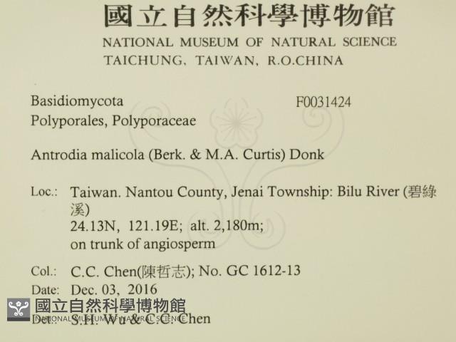 登錄號:F0031424藏品圖，第2張