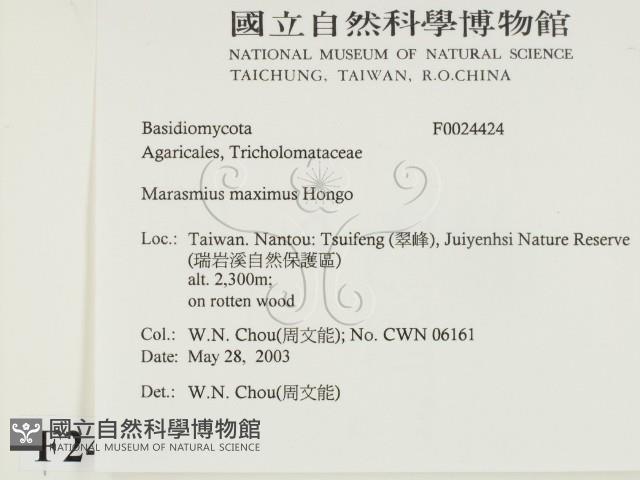 登錄號:F0024424藏品圖，第2張