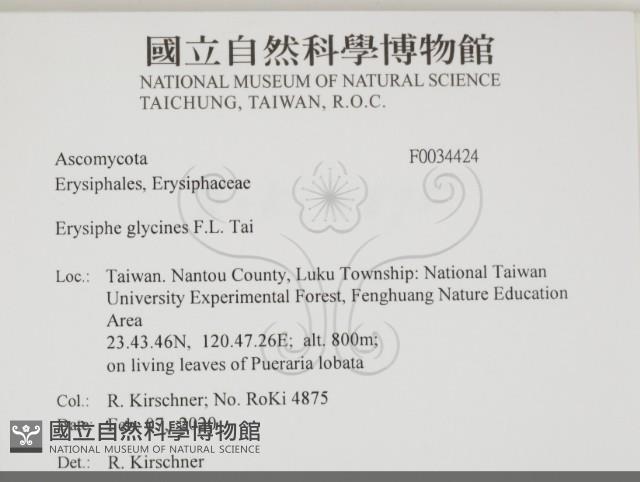 登錄號:F0034424藏品圖，第2張