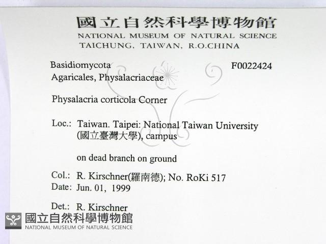 登錄號:F0022424藏品圖，第2張