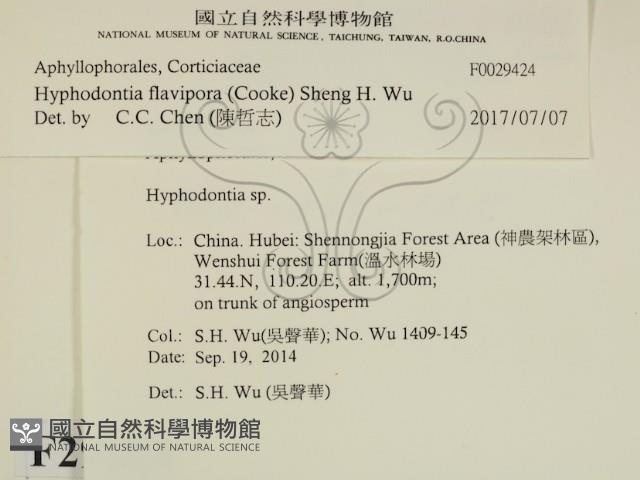 登錄號:F0029424藏品圖，第1張