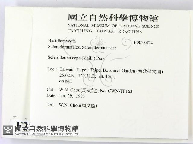 登錄號:F0023424藏品圖，第2張