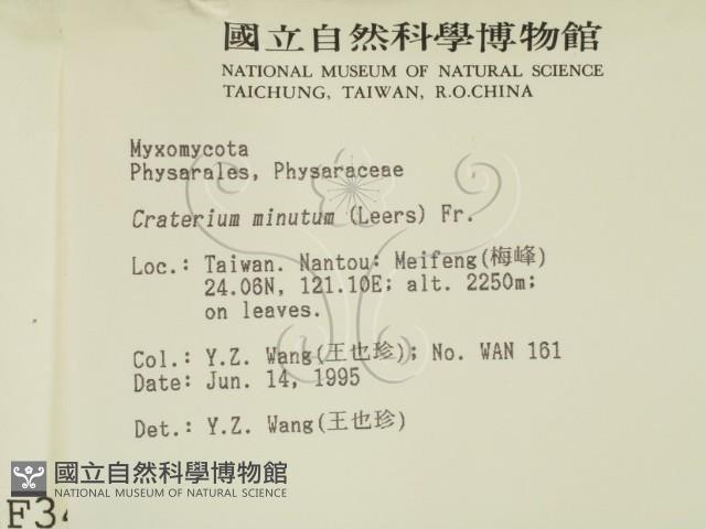 登錄號:F0003424藏品圖，第2張