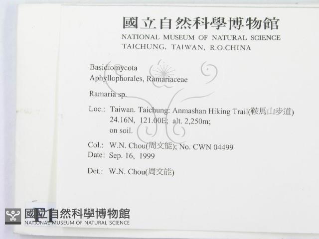 登錄號:F0013424藏品圖，第2張