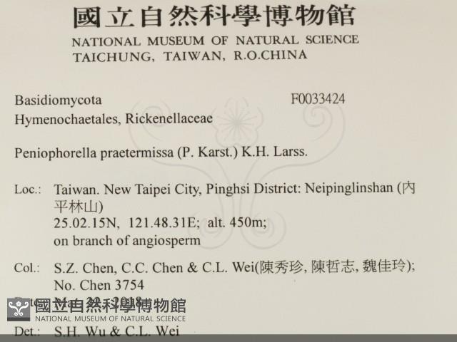 登錄號:F0033424藏品圖，第2張