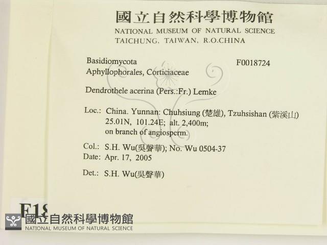登錄號:F0018724藏品圖，第2張
