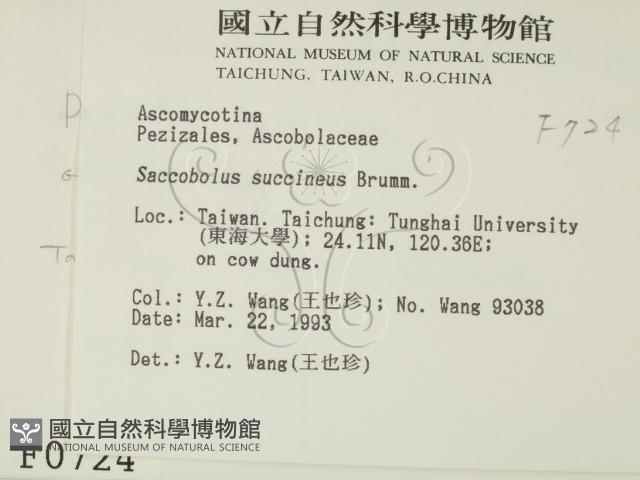 登錄號:F0000724藏品圖，第2張
