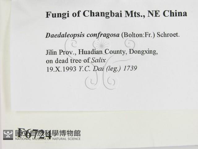 登錄號:F0006724藏品圖，第2張