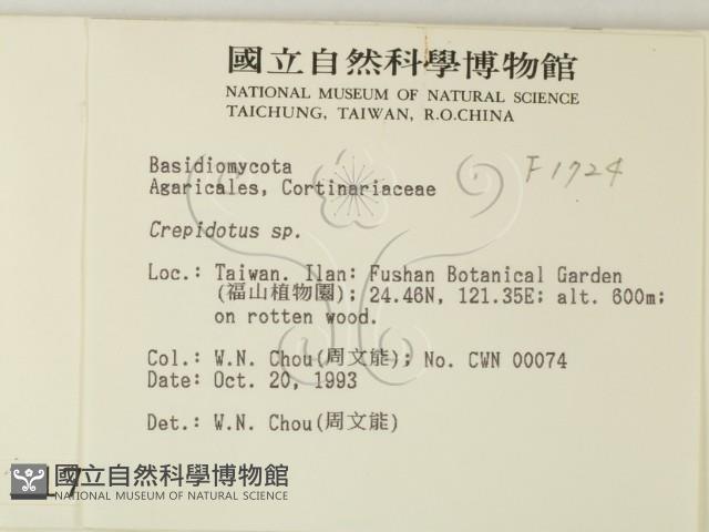 登錄號:F0001724藏品圖，第2張