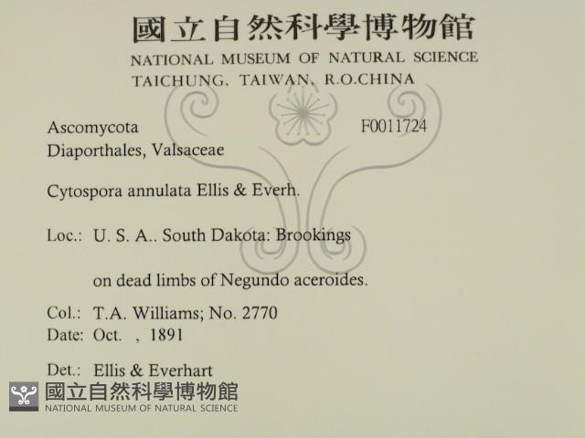 登錄號:F0011724藏品圖，第2張
