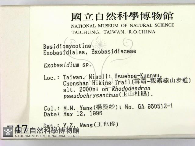 登錄號:F0004724藏品圖，第2張
