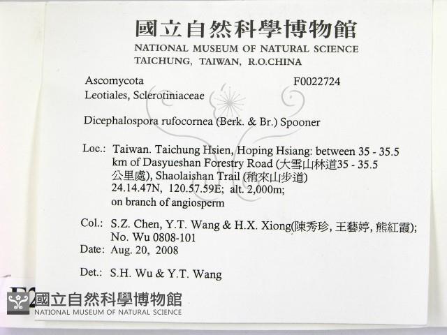 登錄號:F0022724藏品圖，第2張