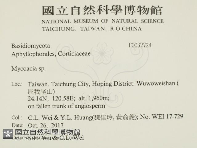 登錄號:F0032724藏品圖，第2張