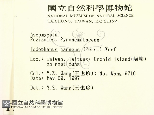 登錄號:F0005724藏品圖，第2張