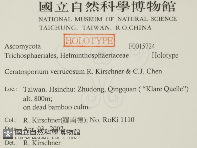 登錄號:F0015724藏品圖，第2張