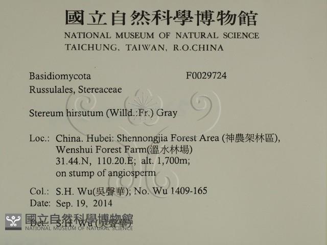 登錄號:F0029724藏品圖，第2張