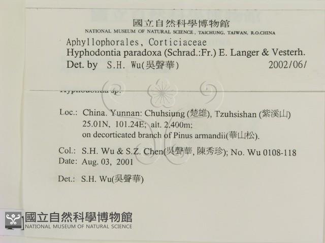 登錄號:F0013724藏品圖，第2張