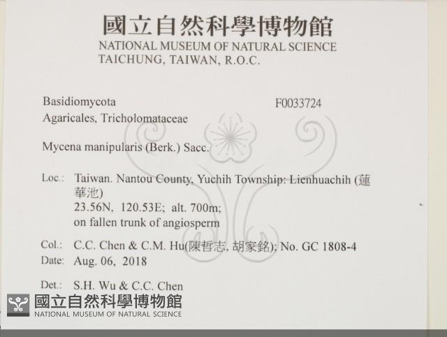 登錄號:F0033724藏品圖，第2張