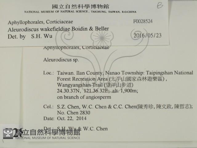 登錄號:F0028524藏品圖，第2張