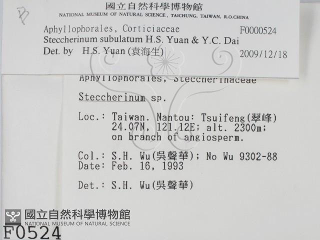 登錄號:F0000524藏品圖，第2張