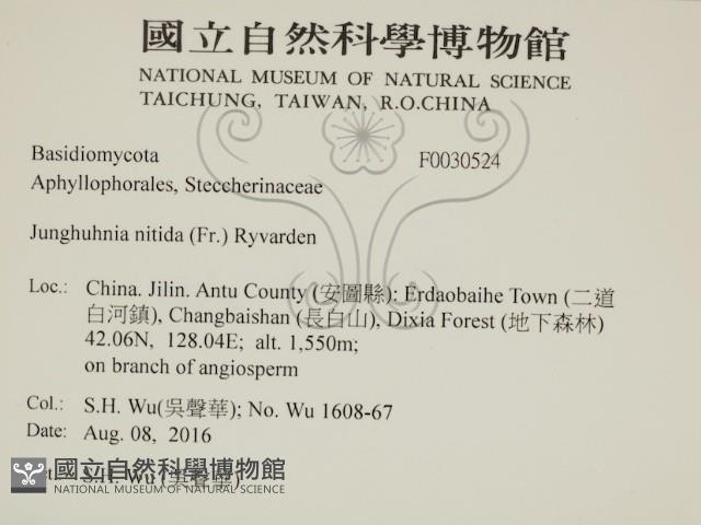 登錄號:F0030524藏品圖，第2張