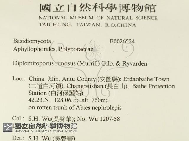 登錄號:F0026524藏品圖，第2張