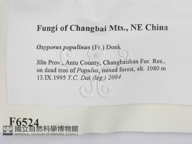 登錄號:F0006524藏品圖，第2張