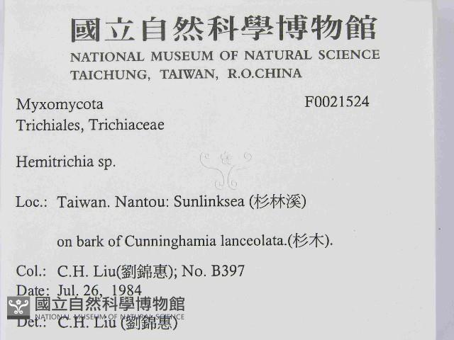 登錄號:F0021524藏品圖，第2張