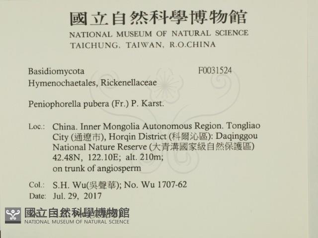 登錄號:F0031524藏品圖，第2張