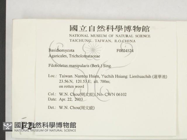 登錄號:F0024524藏品圖，第2張