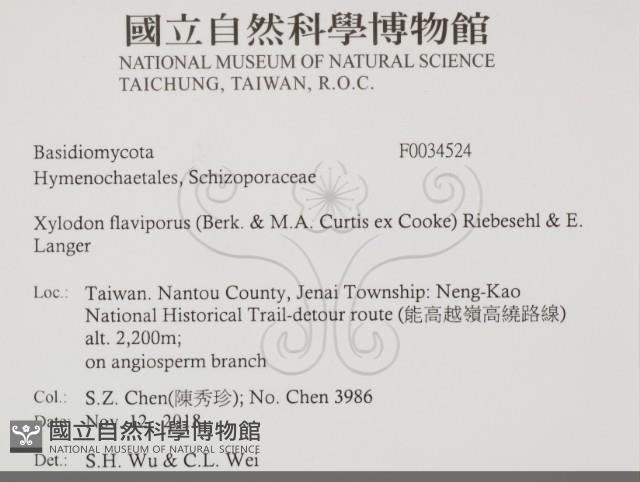 登錄號:F0034524藏品圖，第2張