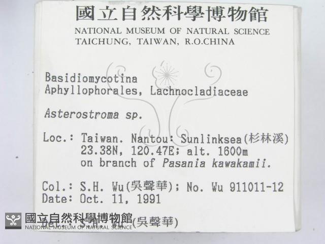 登錄號:F0002524藏品圖，第2張