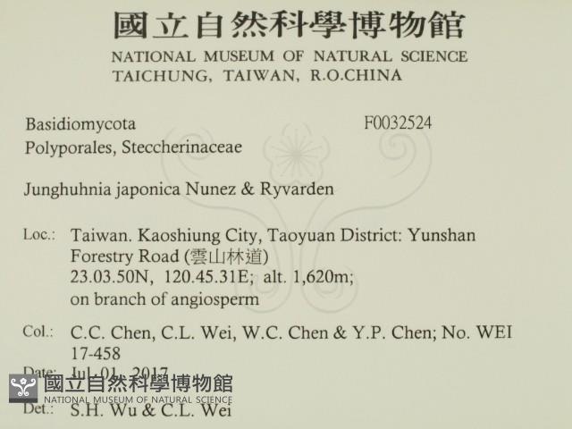 登錄號:F0032524藏品圖，第2張