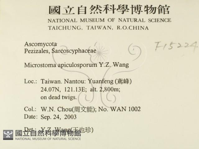 登錄號:F0015524藏品圖，第2張