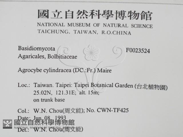 登錄號:F0023524藏品圖，第2張