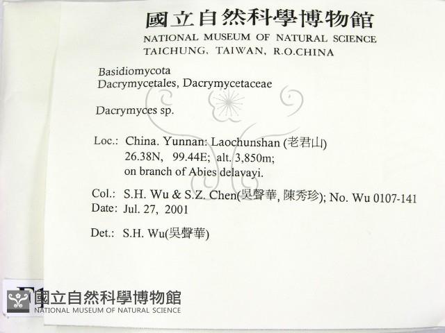 花耳屬藏品圖，第2張