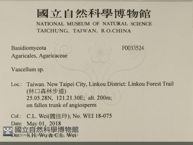 登錄號:F0033524藏品圖，第2張