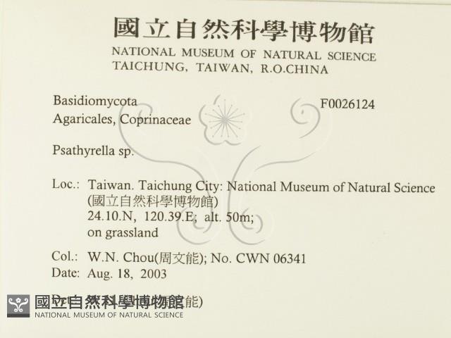 登錄號:F0026124藏品圖，第2張